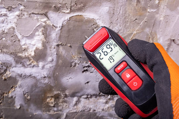 Best Mold Remediation Experts  in Oak Grove, KY